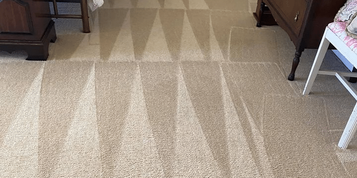 Unsung Heroes of Cleanliness: Spotlight on Regal Carpet Cleaning Service