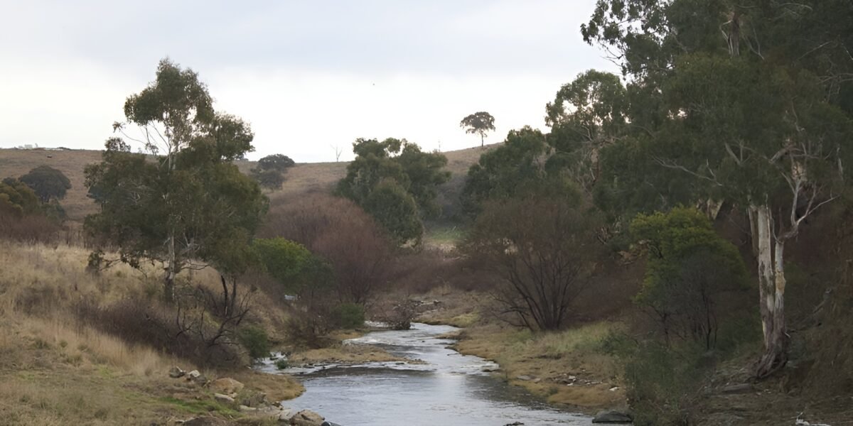 Visit Bathurst NSW: A Journey Through History, Speed, and Scenic Beauty