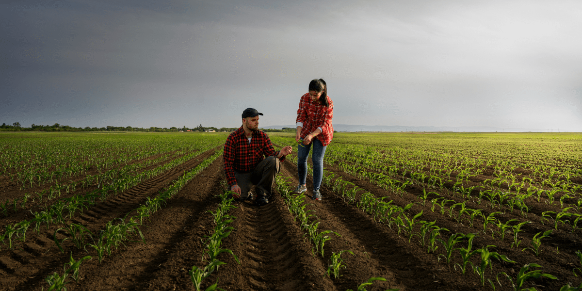 Agriculture's Crucial Role in Economic Development: From Ancient Times to Modern Challenges