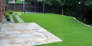 Thoughtfully Designed Synthetic Grass Solutions by Water Cloud Elevate Outdoor Living