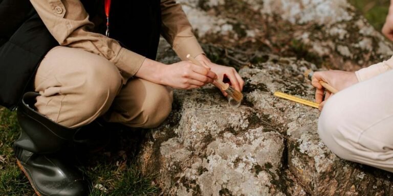 67,800‑Year‑Old Hand Stencil Discovered