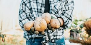 Idaho Business Financing From Potato Farms to Boise's Tech Corridor