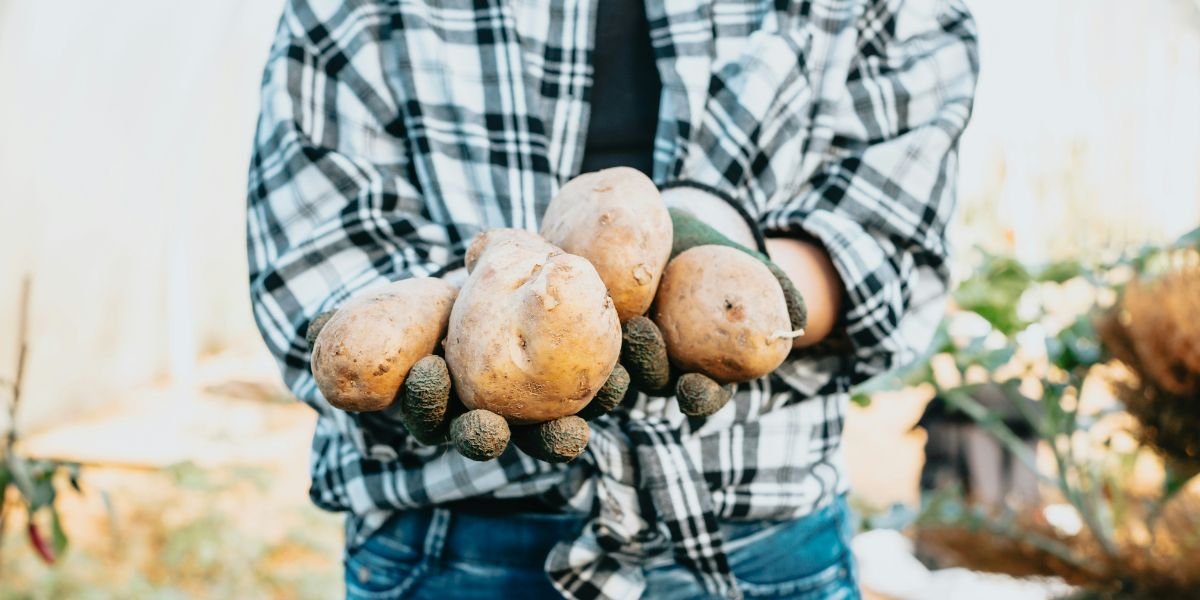 Idaho Business Financing From Potato Farms to Boise's Tech Corridor